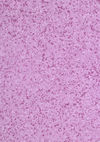 Gerflor (86804482) color
