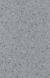 Gerflor (86804430) color