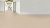 Gerflor (86804424) room_scene