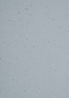 Gerflor (86925420) color