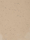 Gerflor (86925418) color
