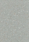Gerflor (H8218704) color