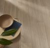 Forbo (255844) room_scene
