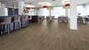 Forbo (255850) room_scene