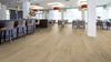 Forbo (255868) room_scene