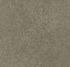 Forbo (251576) color
