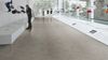 Forbo (255898) room_scene