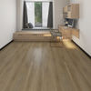 Taiga (FVAQPLANKFLS) room_scene