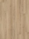 Taiga (FVAQPLANKVSN) product
