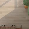 Taiga (FVCDRPLANKCAST) room_scene