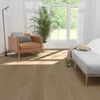 Taiga (FVCDRPLANKCHM) room_scene
