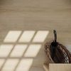 Taiga (FVCDRPLANKFTH) room_scene