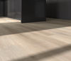 Taiga (FVCDRPLANKTCN) room_scene