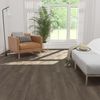 Taiga (FVCDRPLANKECP) room_scene