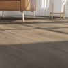 Taiga (FVCDRPLANKECP) room_scene