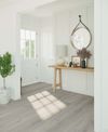 Taiga (FVCDRPLANKHF) room_scene
