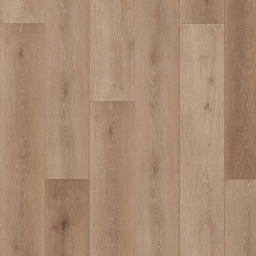 de02716c-3221-11ee-be58-