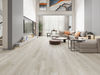 Taiga (FVSWPBSQ) room_scene