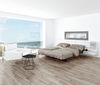 Taiga (FVCVPPLANKENC) room_scene