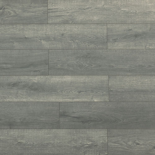 Taiga - Laminate Flooring Portraits Titanium 6-5/8