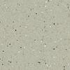 Armstrong (70007) floor