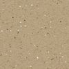 Armstrong (70010) floor