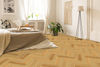 Fuzion (VTOAK120HRGGT) room_scene