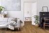 Lauzon Expert (ROA5M802UVA) room_scene