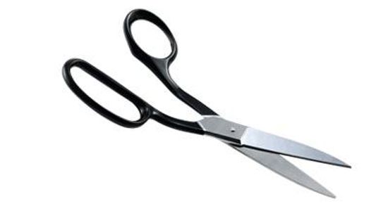 Carpet Shears - 8"