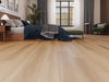 Goodfellow (725044903) room_scene