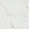Next Floor (TN570106) color