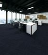 Fuzion (CN22006-2) room_scene
