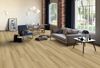 Fuzion (DY182IS05-5GI) room_scene