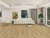 Fuzion (DY225RF09-2) room_scene
