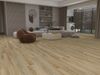 Fuzion (DY225SN07) room_scene
