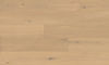 Fuzion (CGSN84189DER709) color