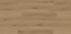 Fuzion (SQSN-NXNT04) color