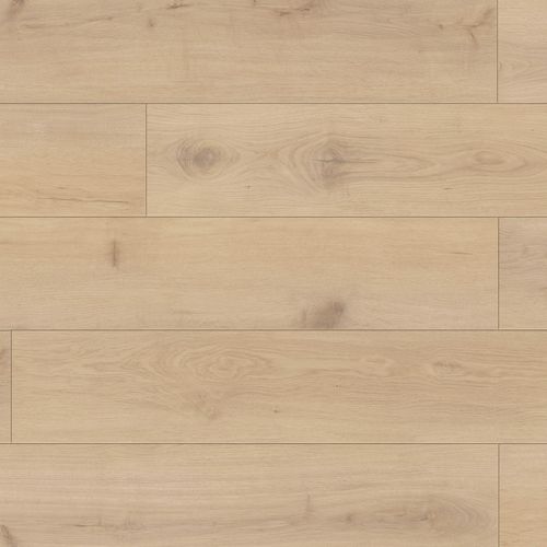 8ac32ce4-a05e-11f0-bc10-