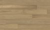 Fuzion (CGSN84190CVM709) color