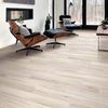 Floorvine (423-064) room_scene
