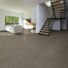 Next Floor (879-011) room_scene