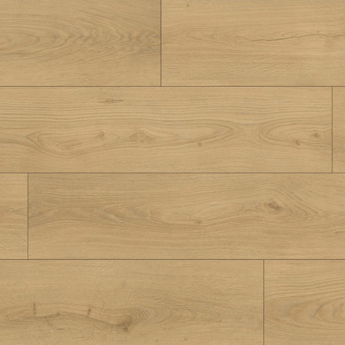 8c15fc89-4885-11ef-beaa-