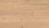 Fuzion (CGTM84189EXT731) color
