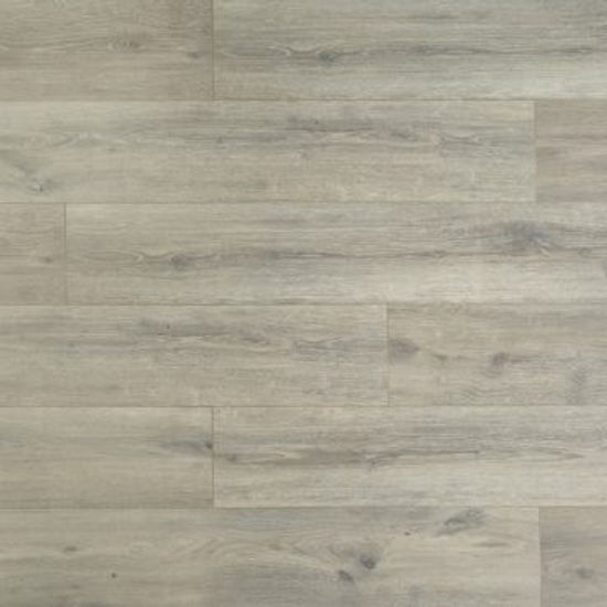 Laminate Flooring Evolution Pearl Oak 7-1/2" x 54"