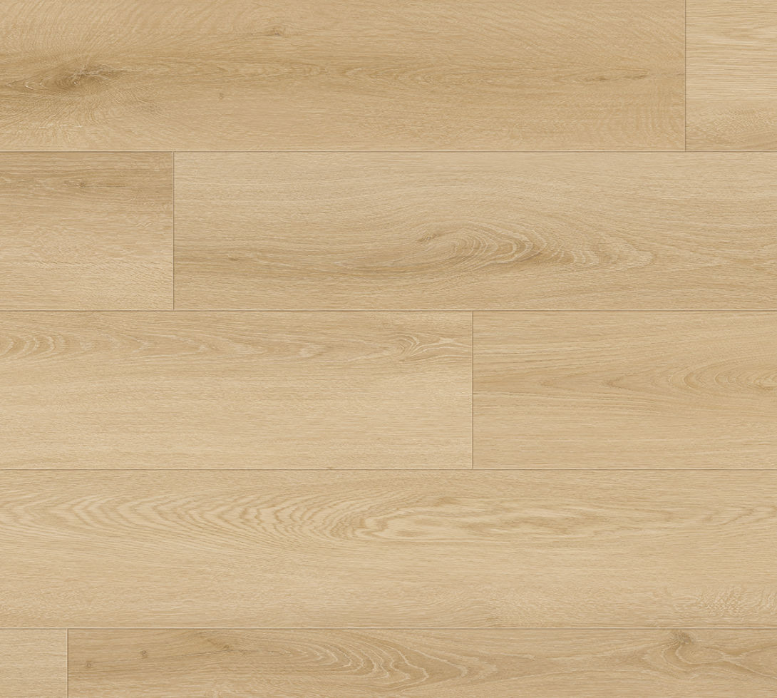 8d5ac2fd-1c43-11ef-af2b-