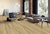 Fuzion (DY182IS05) room_scene