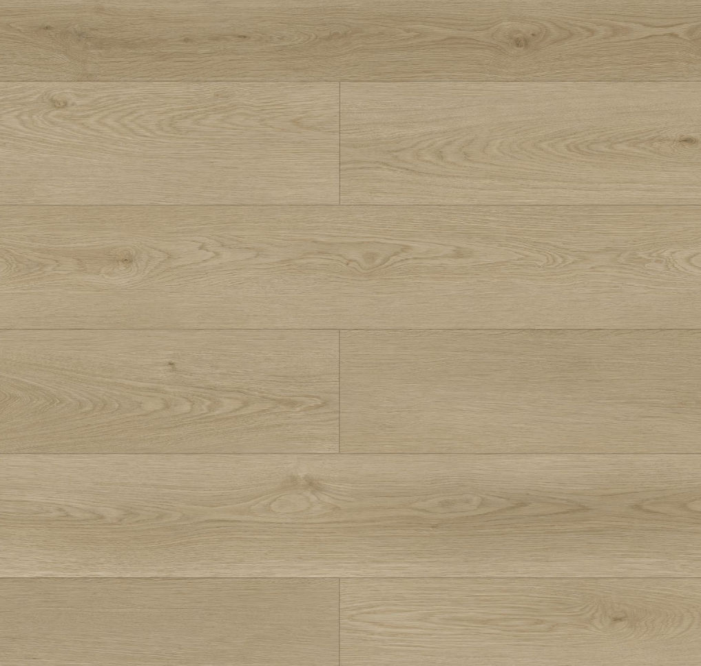 8d5b1bc2-1c43-11ef-af2b-