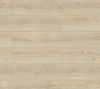 Fuzion (WF196RV06) product