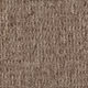Broadloom Carpet InnoFibe - Fleury #73748 Bistre Brown 12' (Sold in Sqyd)