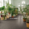 Beaulieu (J6438-84200) room_scene